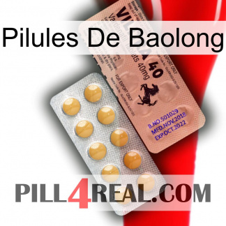 Baolong Pills 41